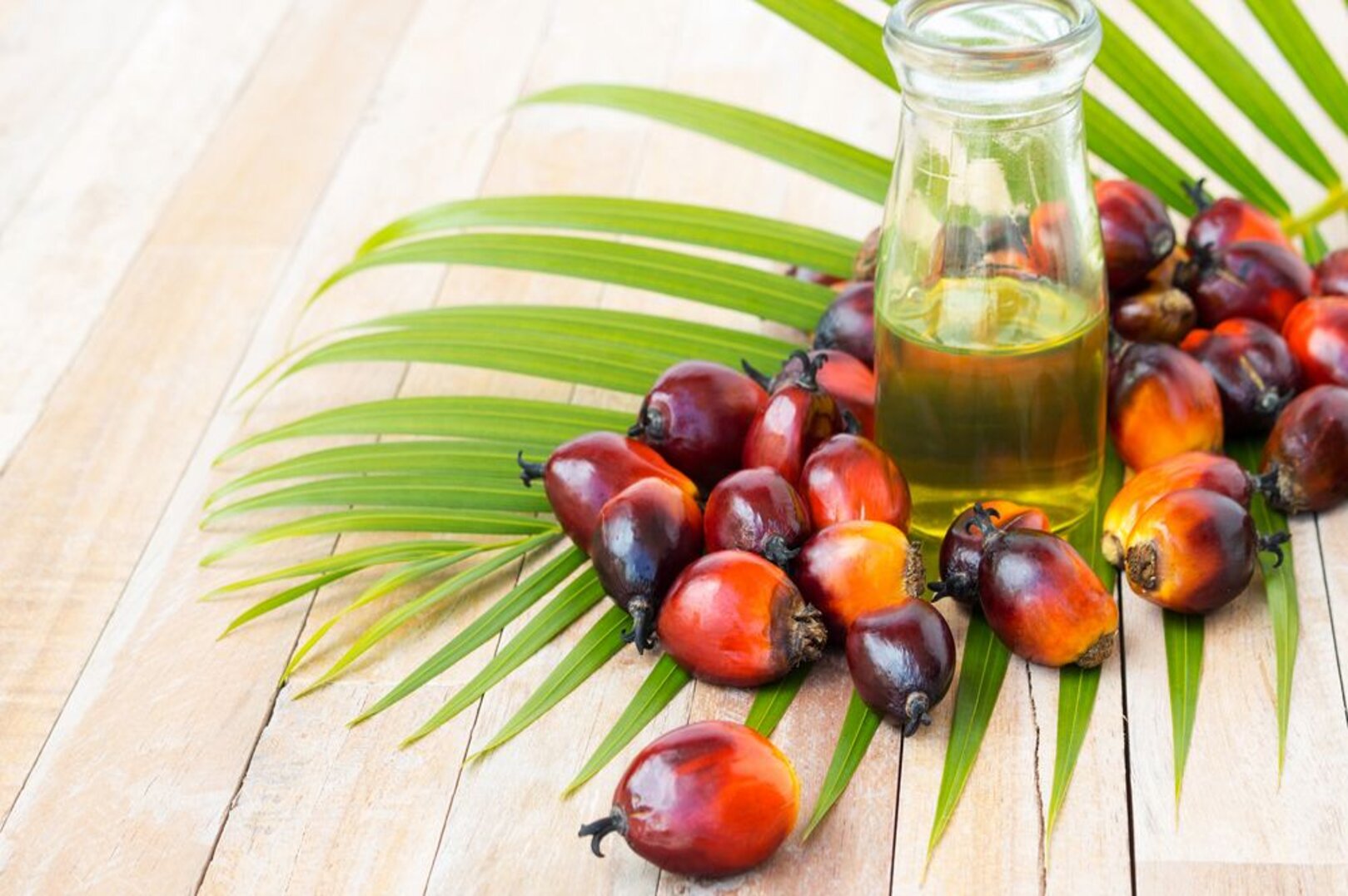 Palm Oil and Fuels Propel Côte d'Ivoire to Top African Supplier Position for Cameroon